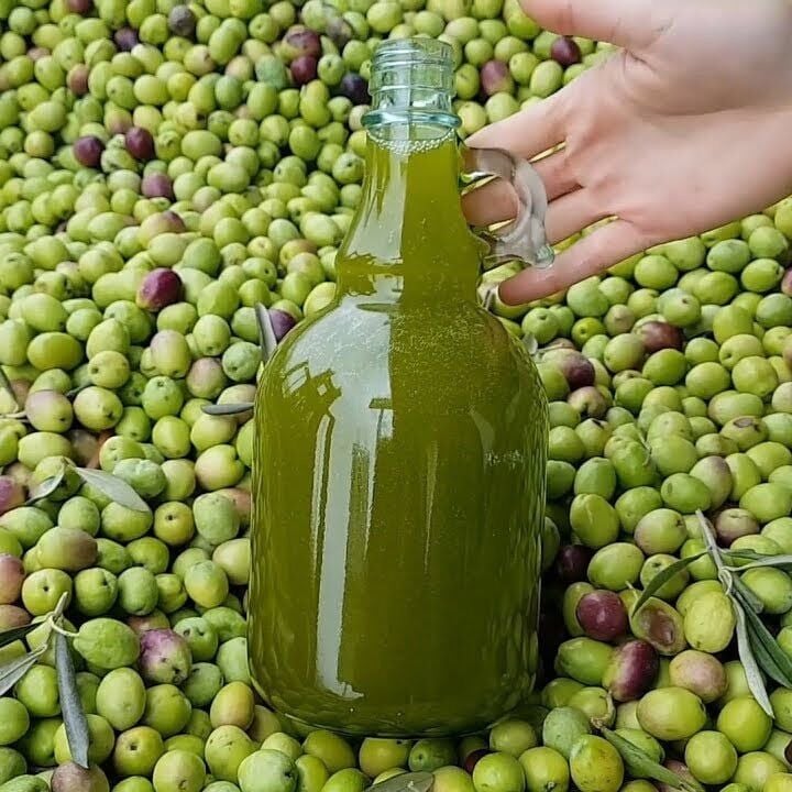 Erken Hasat Zeytinyağı 